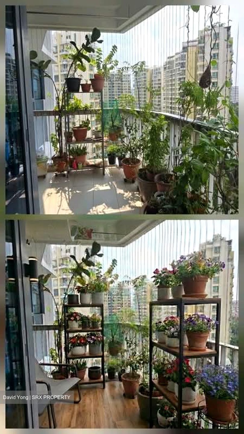 Belysa (D18), Condominium #560424561